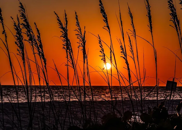 Apartment New Listing Stunning View Cypress Beachfront Clearwater Beach